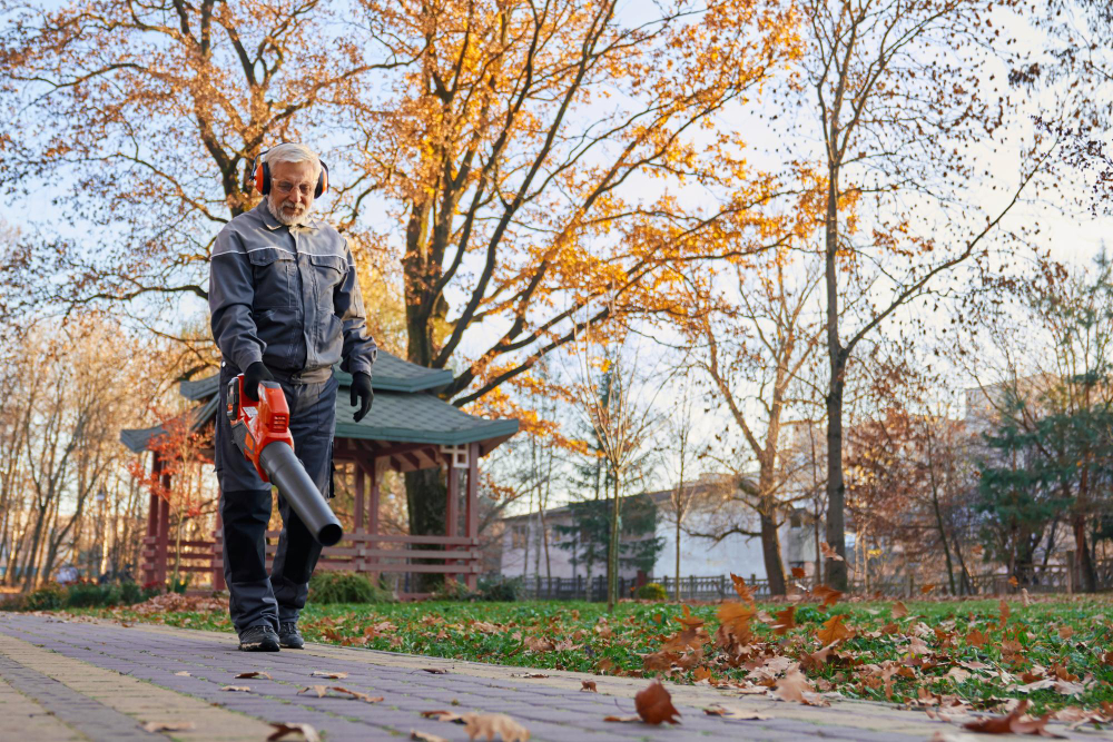 End-of-tenancy-cleaning-Harrow